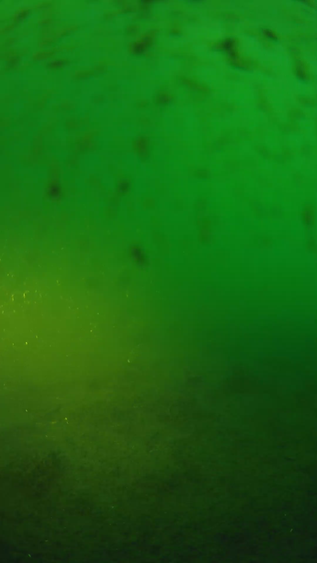 lander_ipcam_20240625193549.png