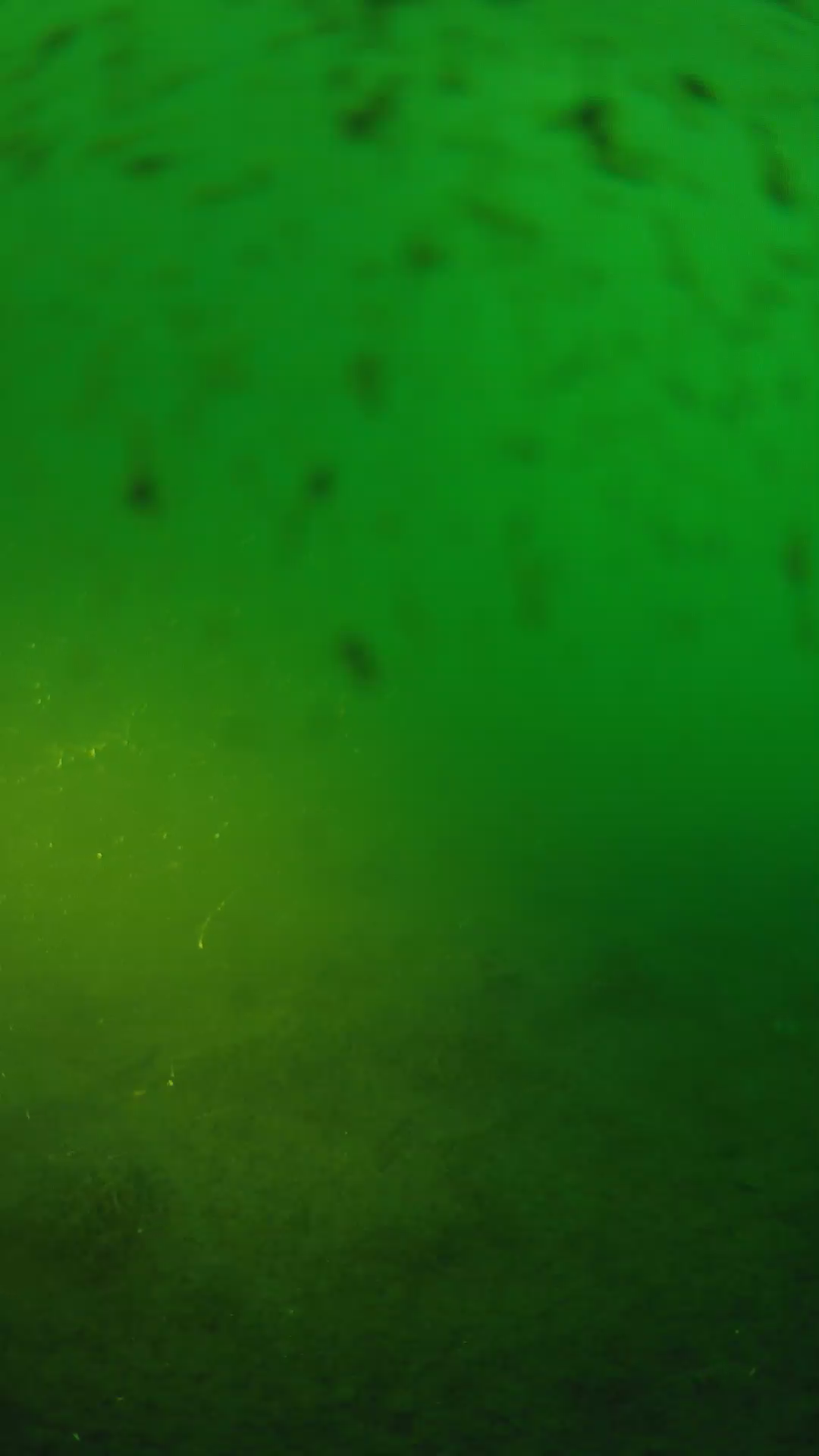 lander_ipcam_20240625193554.png