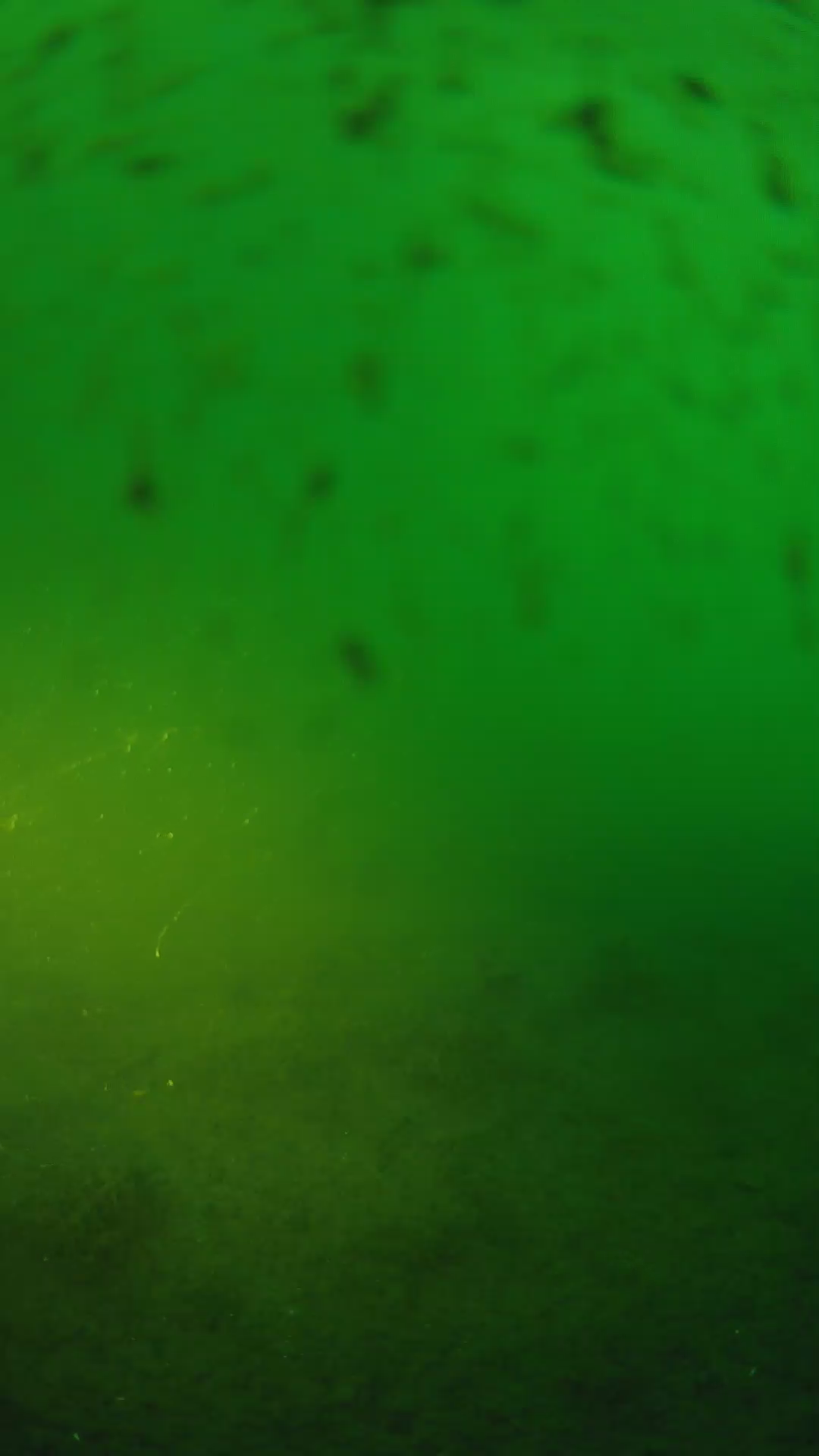 lander_ipcam_20240625193557.png