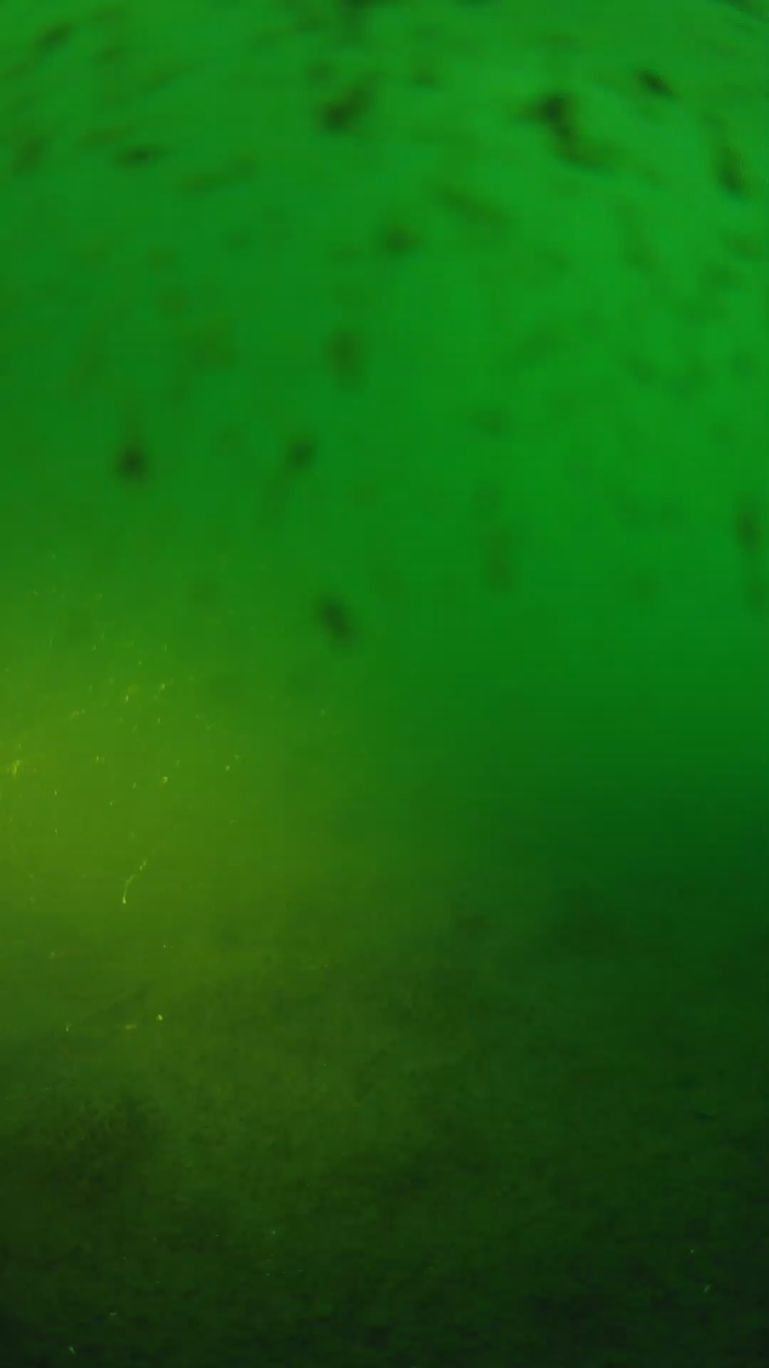lander_ipcam_20240625193558.png