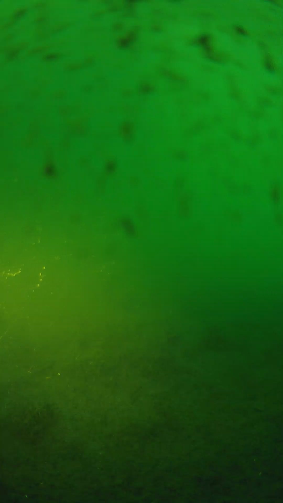 lander_ipcam_20240625193606.png