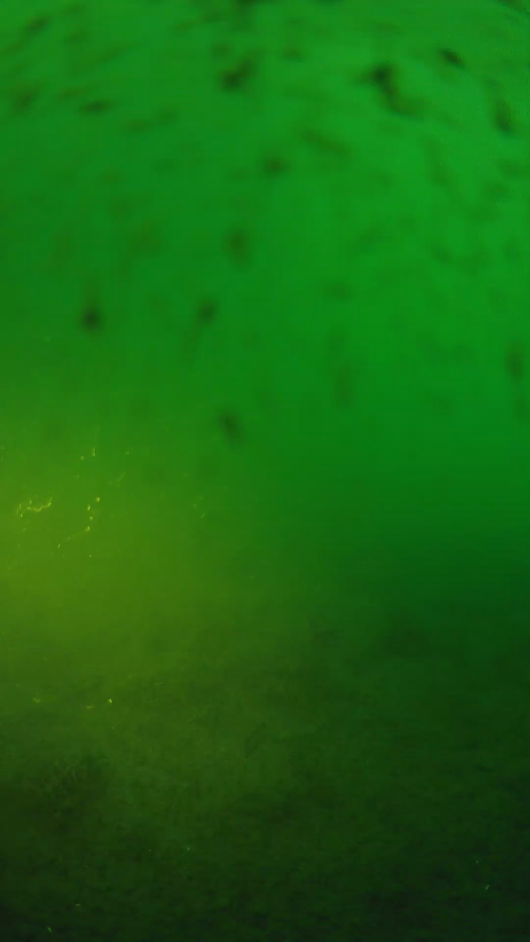 lander_ipcam_20240625193607.png