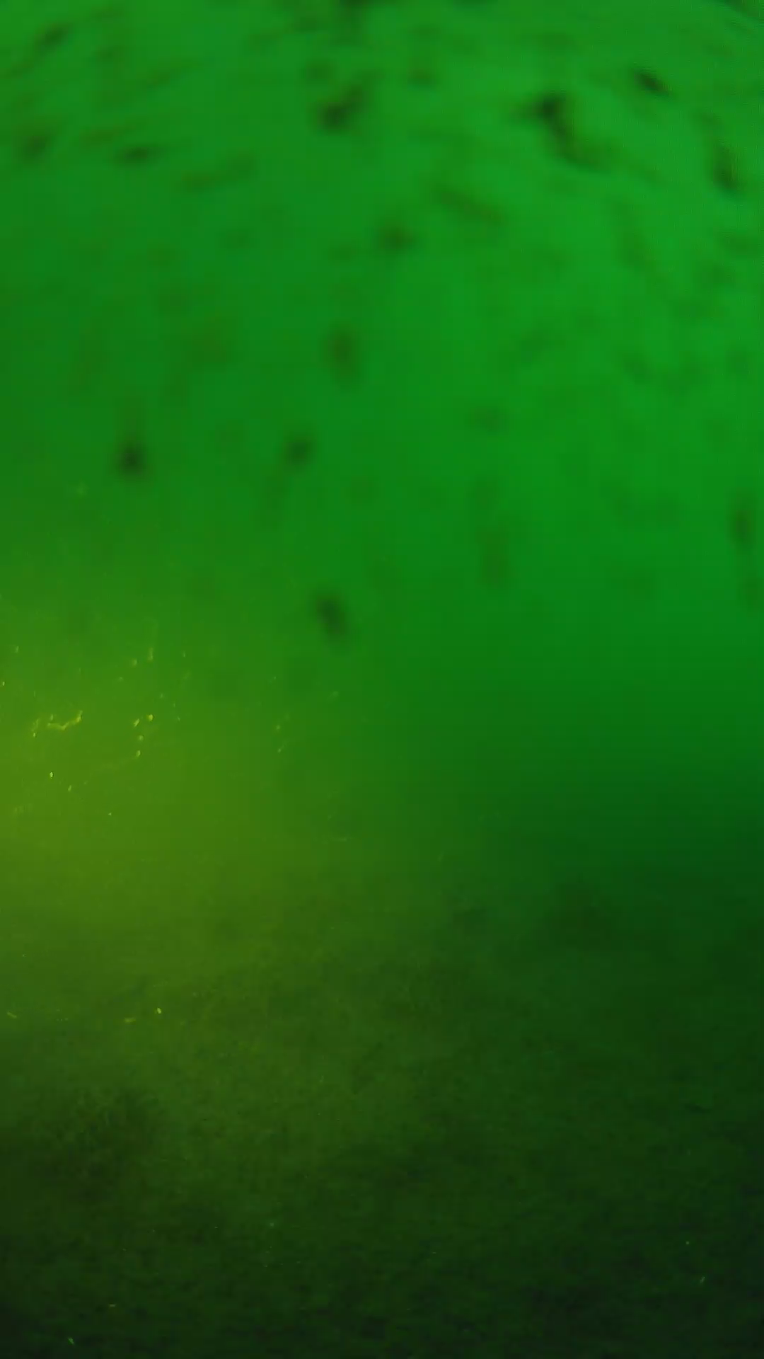 lander_ipcam_20240625193608.png