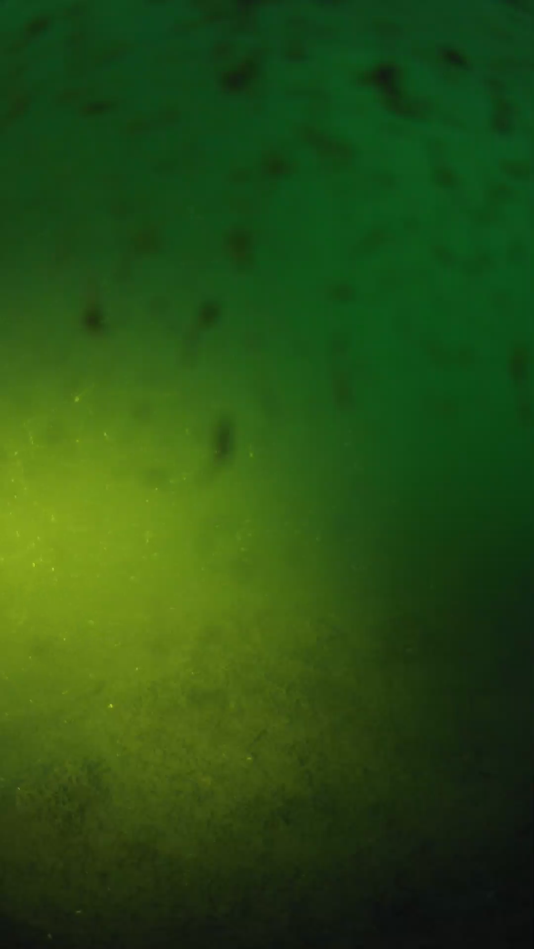 lander_ipcam_20240625200548.png