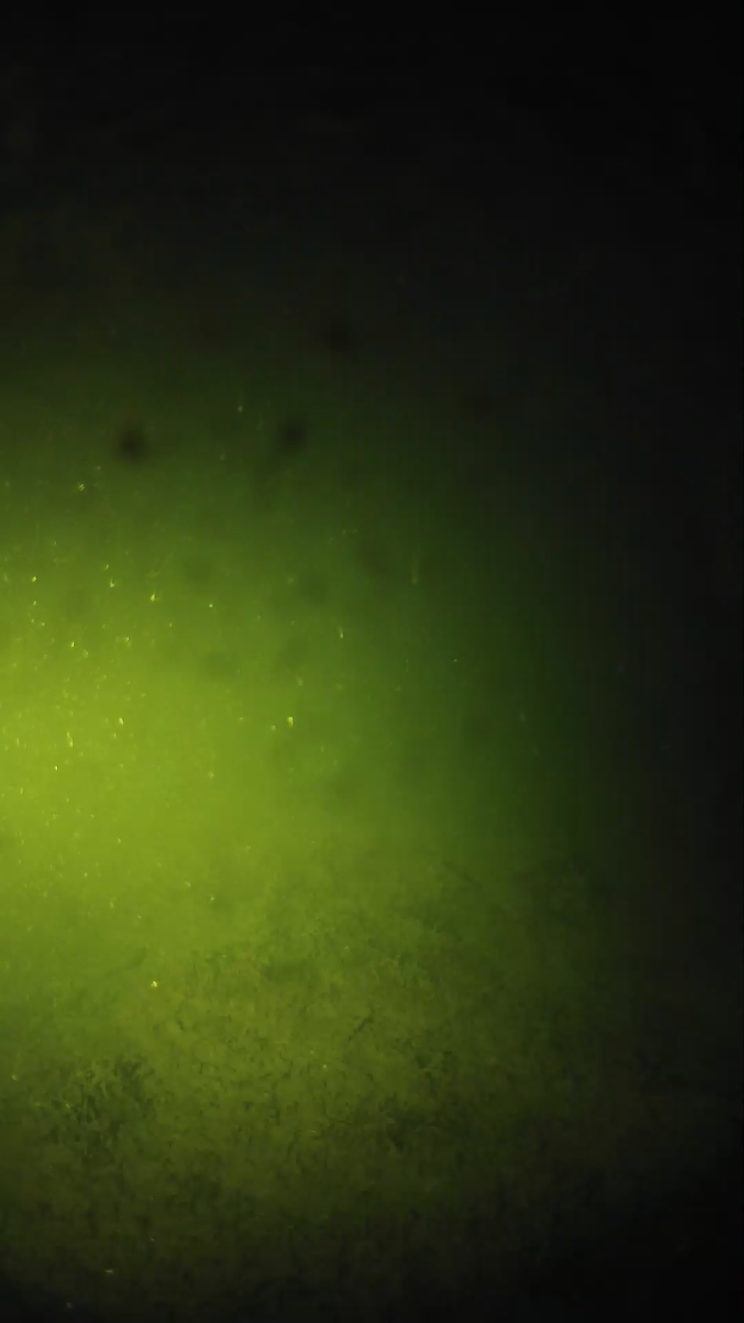 lander_ipcam_20240625203539.png