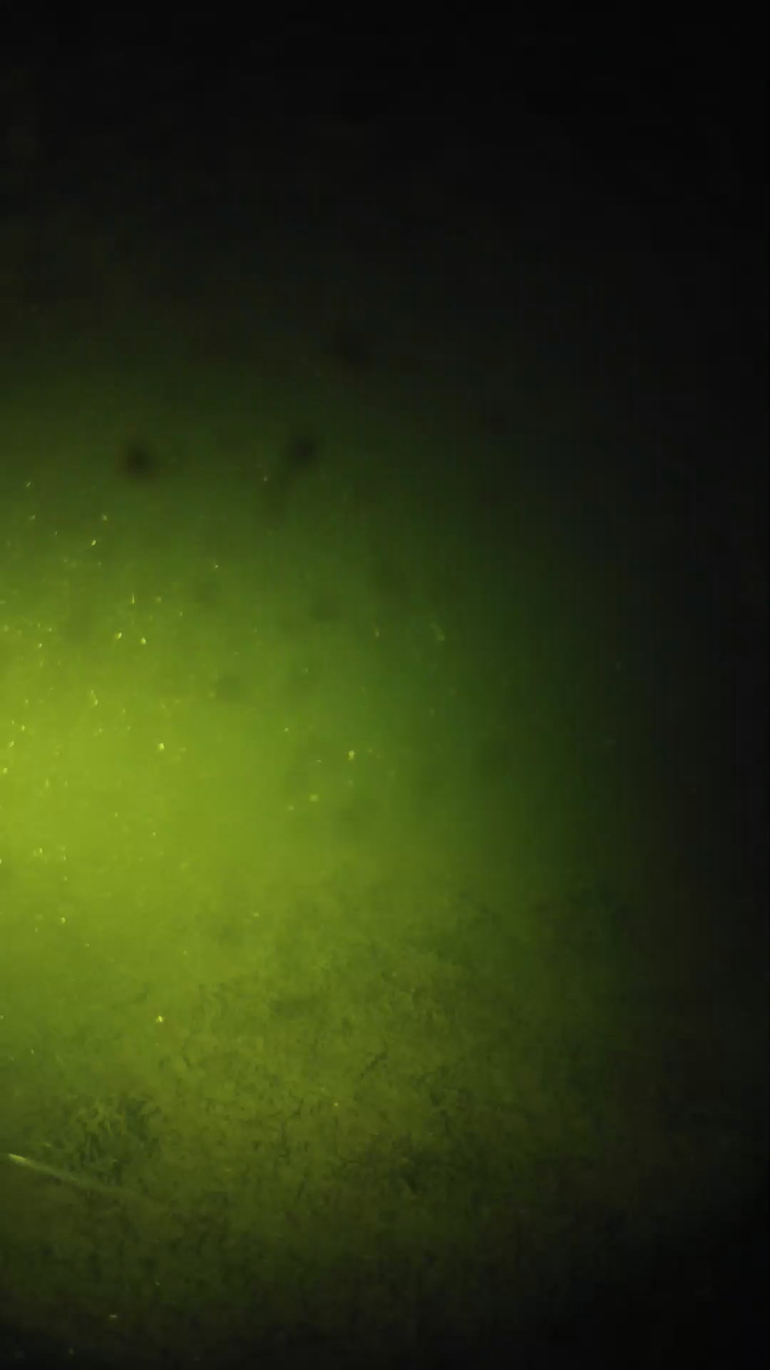 lander_ipcam_20240625203542.png