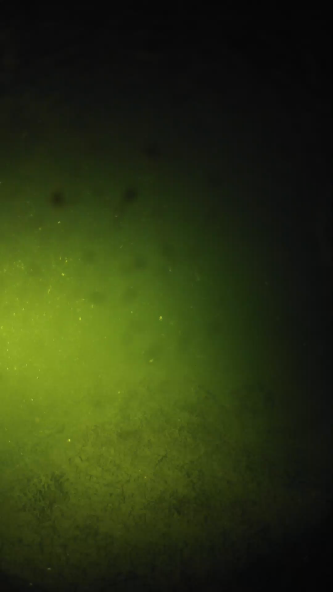 lander_ipcam_20240625203544.png