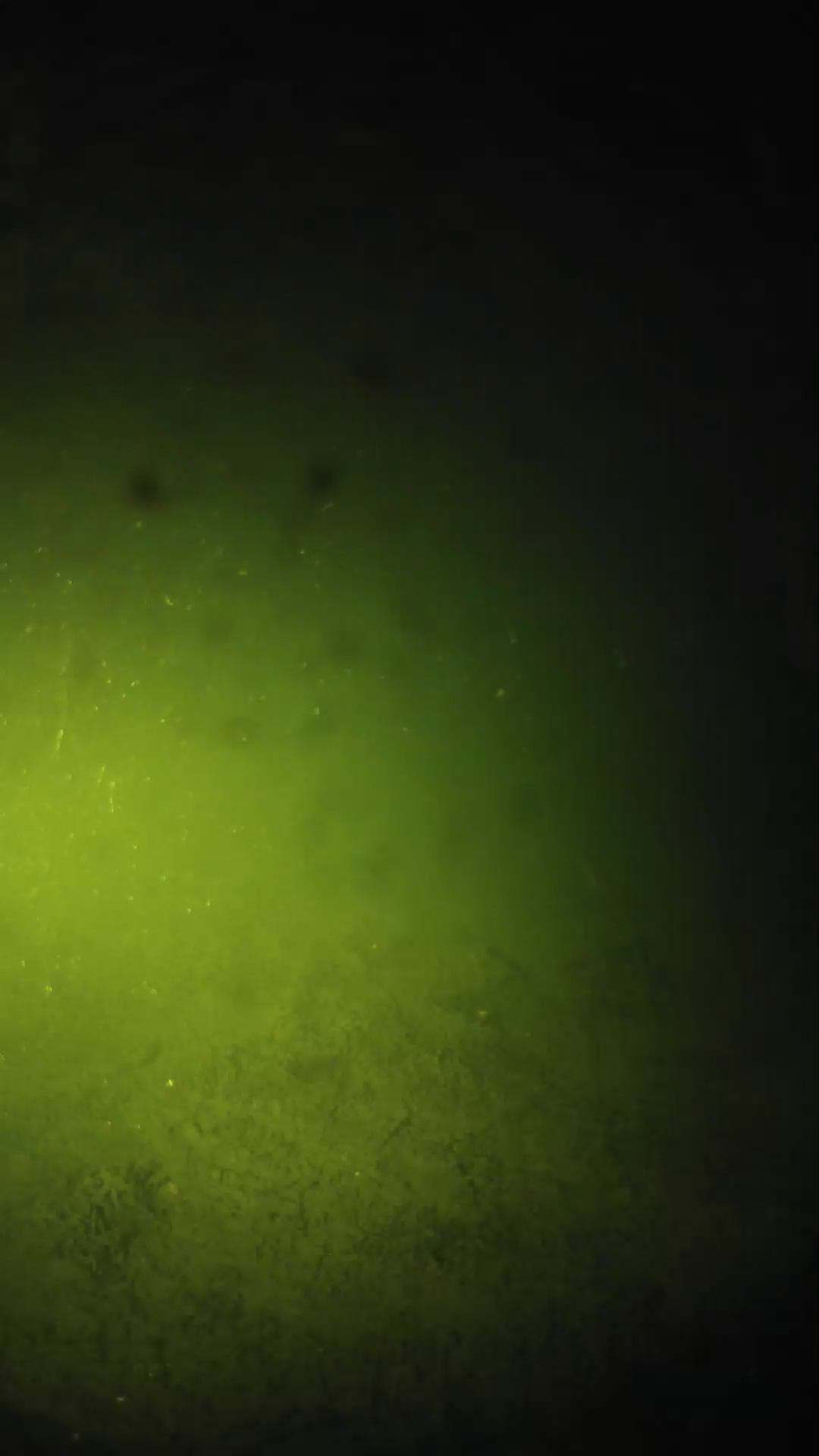 lander_ipcam_20240625203551.png