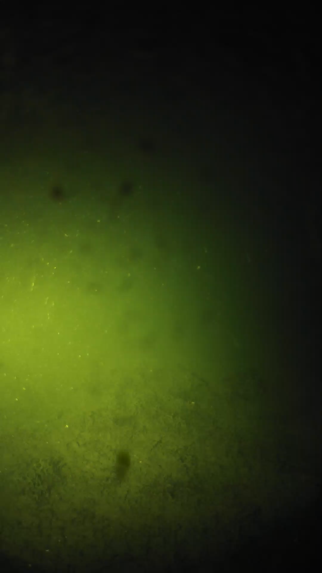 lander_ipcam_20240625203552.png