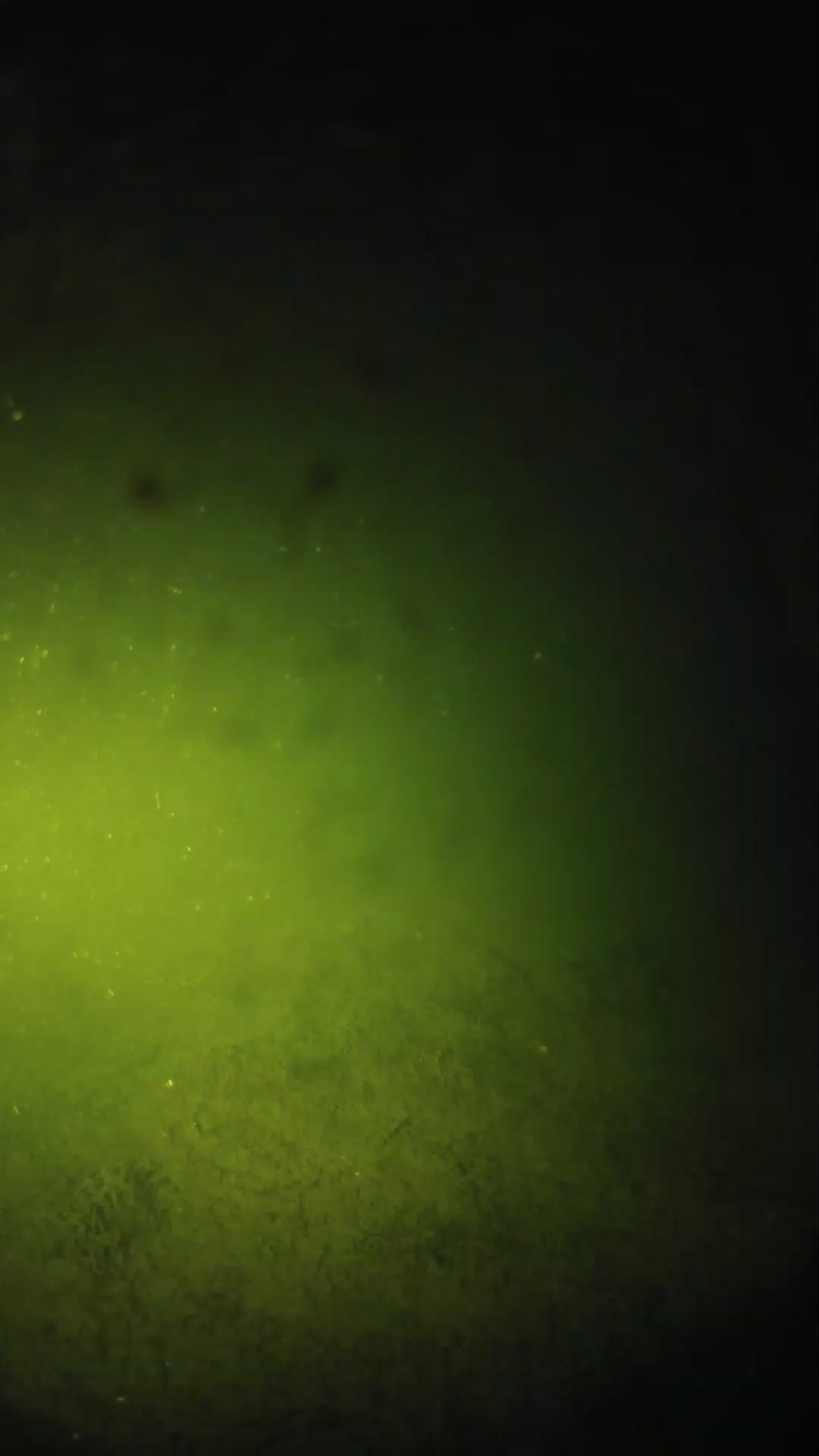 lander_ipcam_20240625203554.png