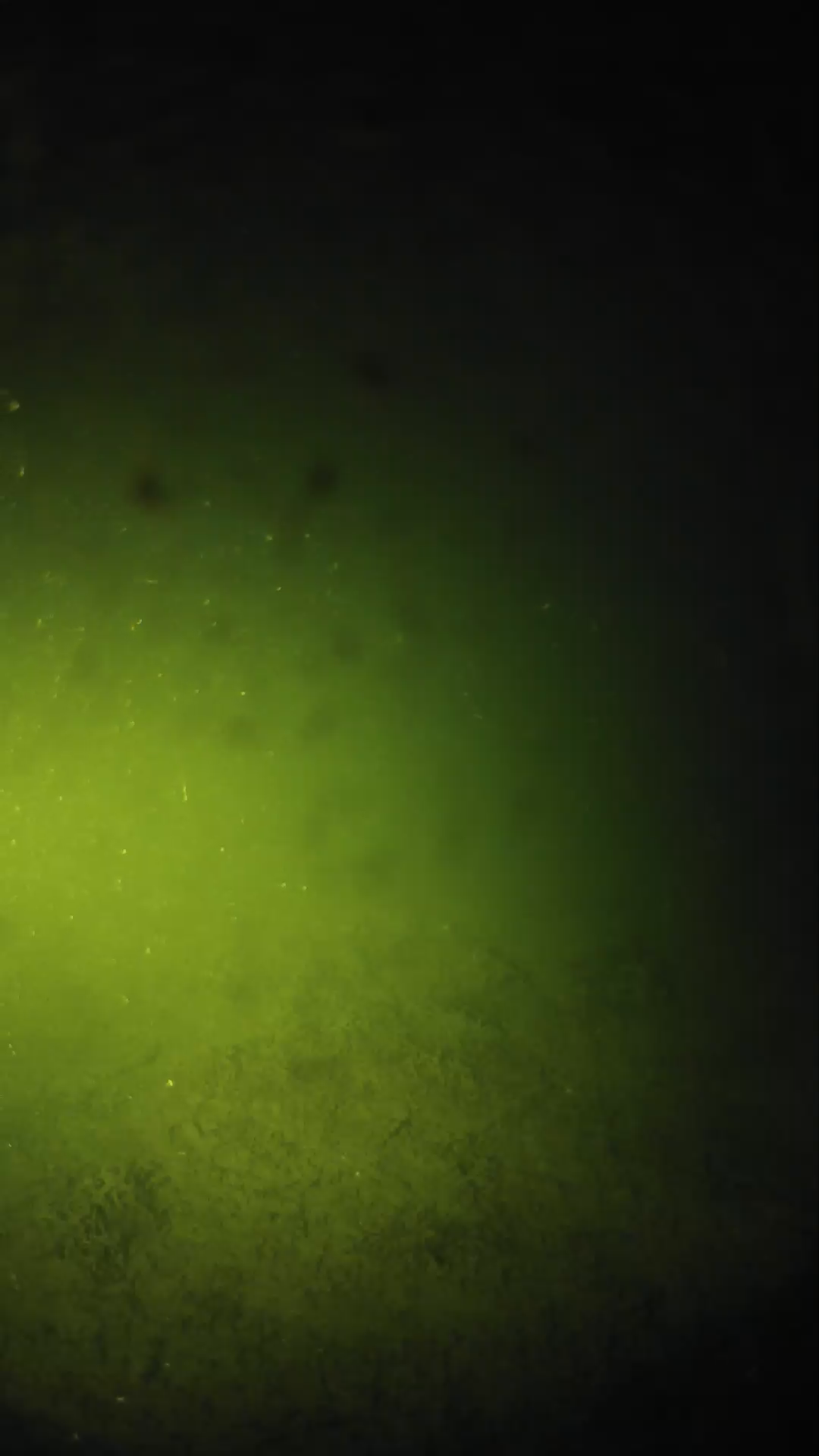 lander_ipcam_20240625203557.png