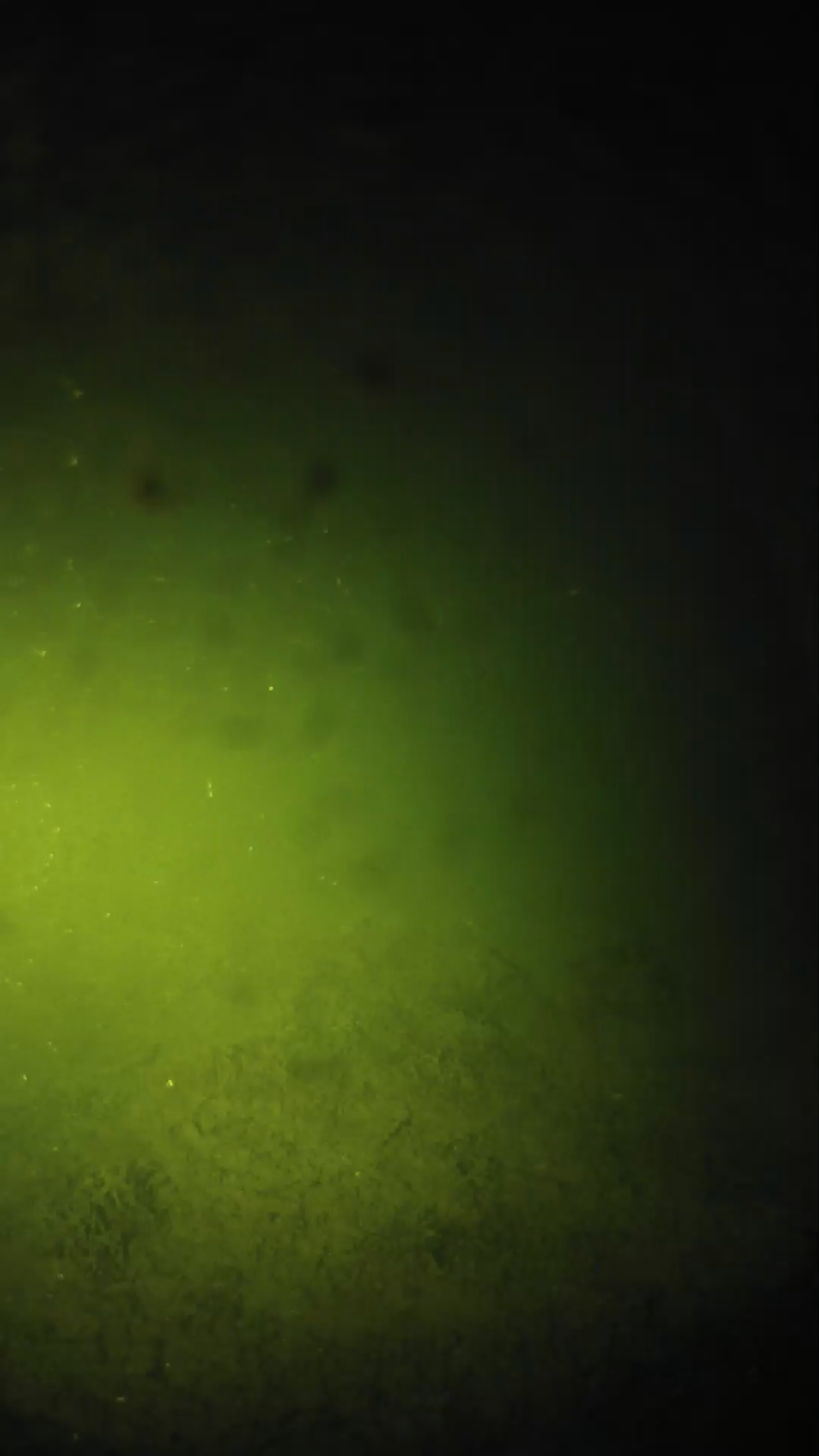 lander_ipcam_20240625203558.png