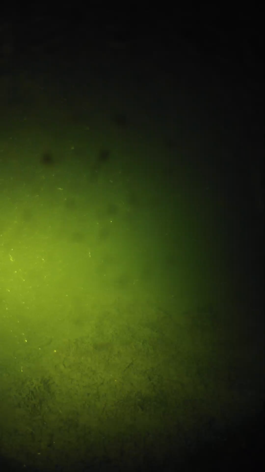 lander_ipcam_20240625203600.png