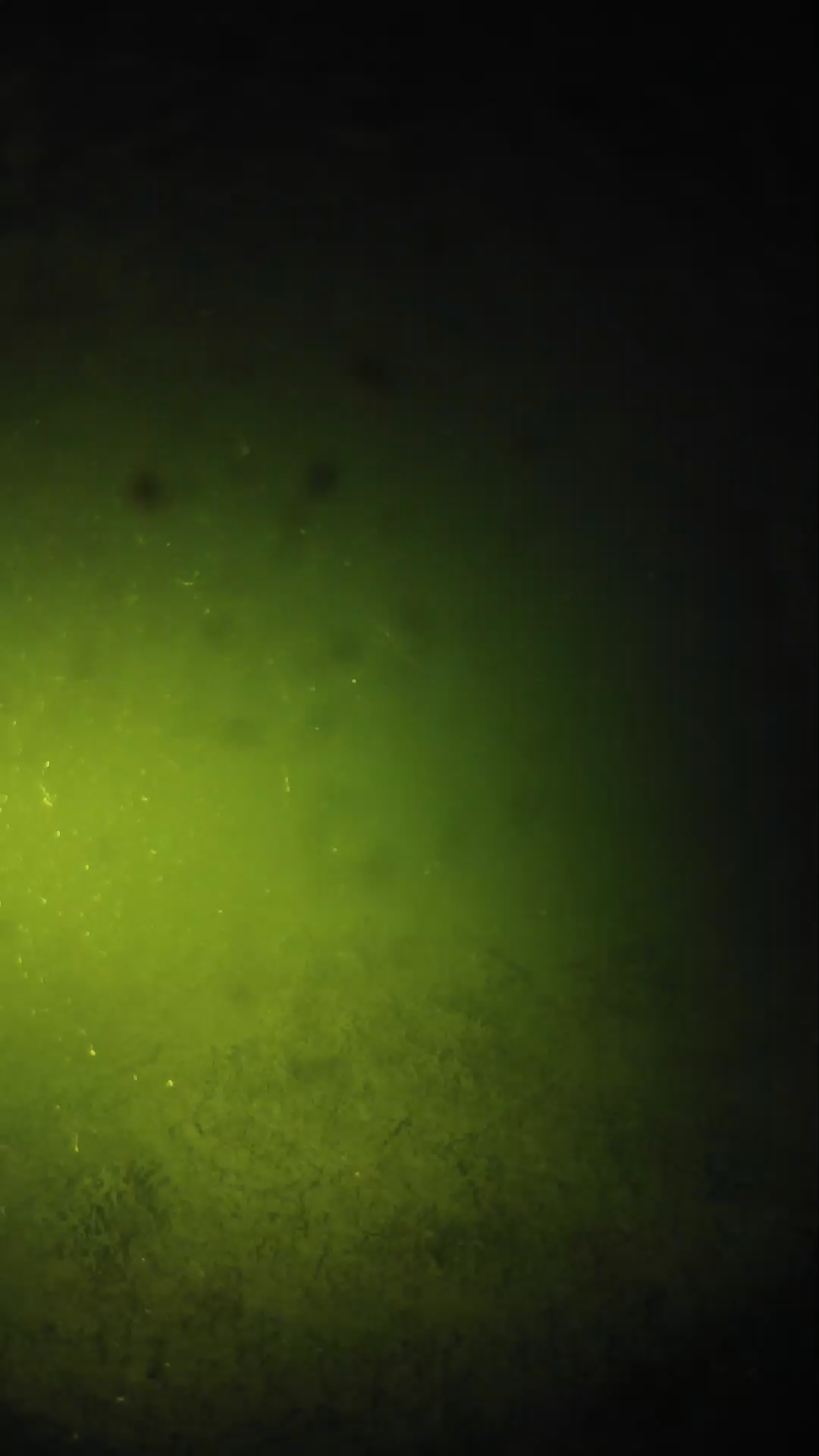 lander_ipcam_20240625203601.png