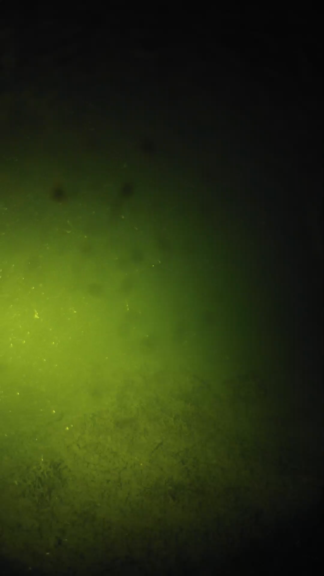 lander_ipcam_20240625203603.png