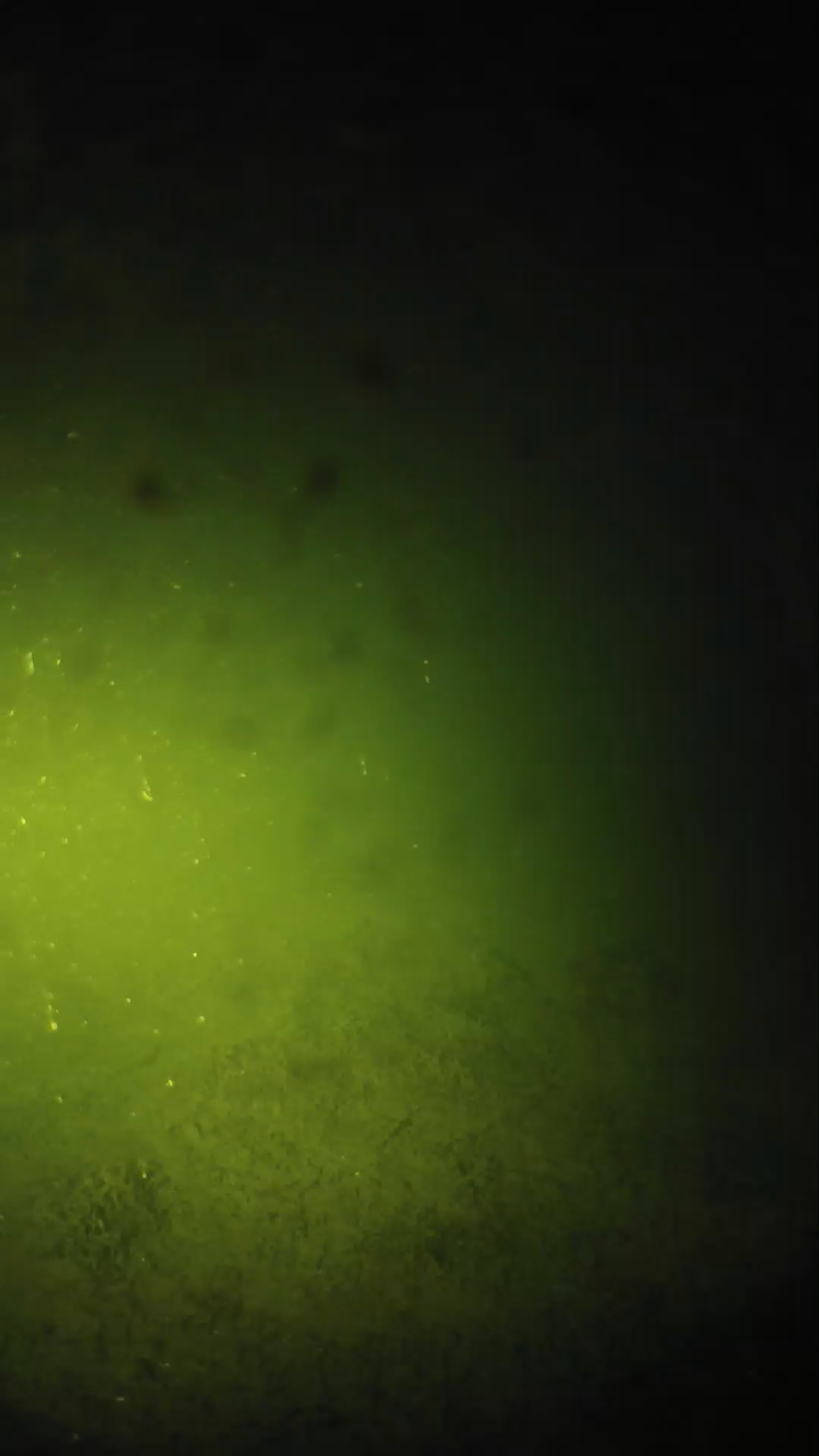 lander_ipcam_20240625203606.png