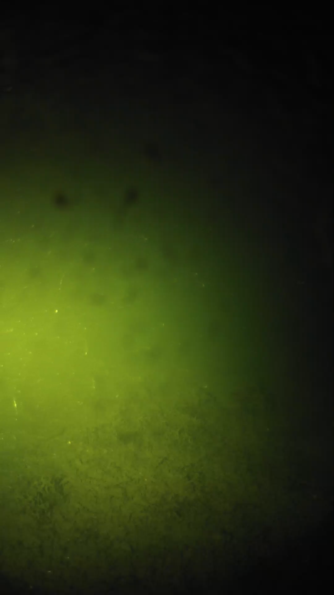 lander_ipcam_20240625210555.png