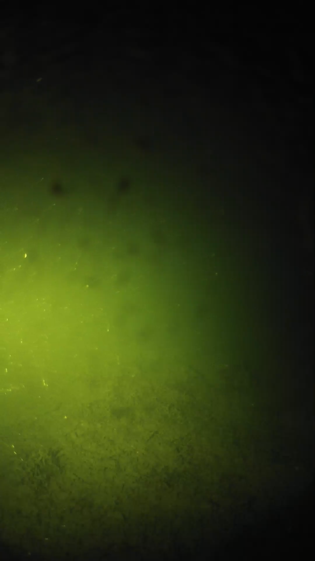 lander_ipcam_20240625210557.png