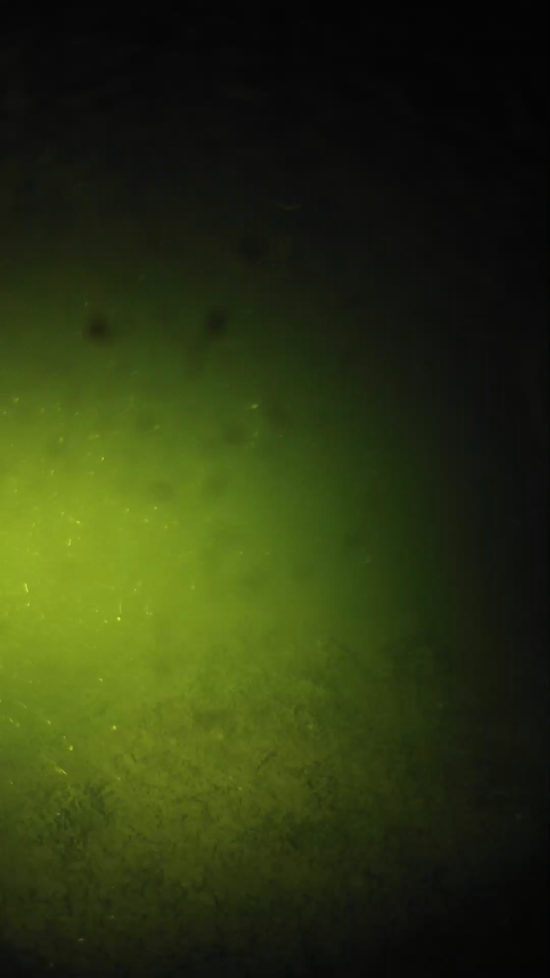 lander_ipcam_20240625210607.png