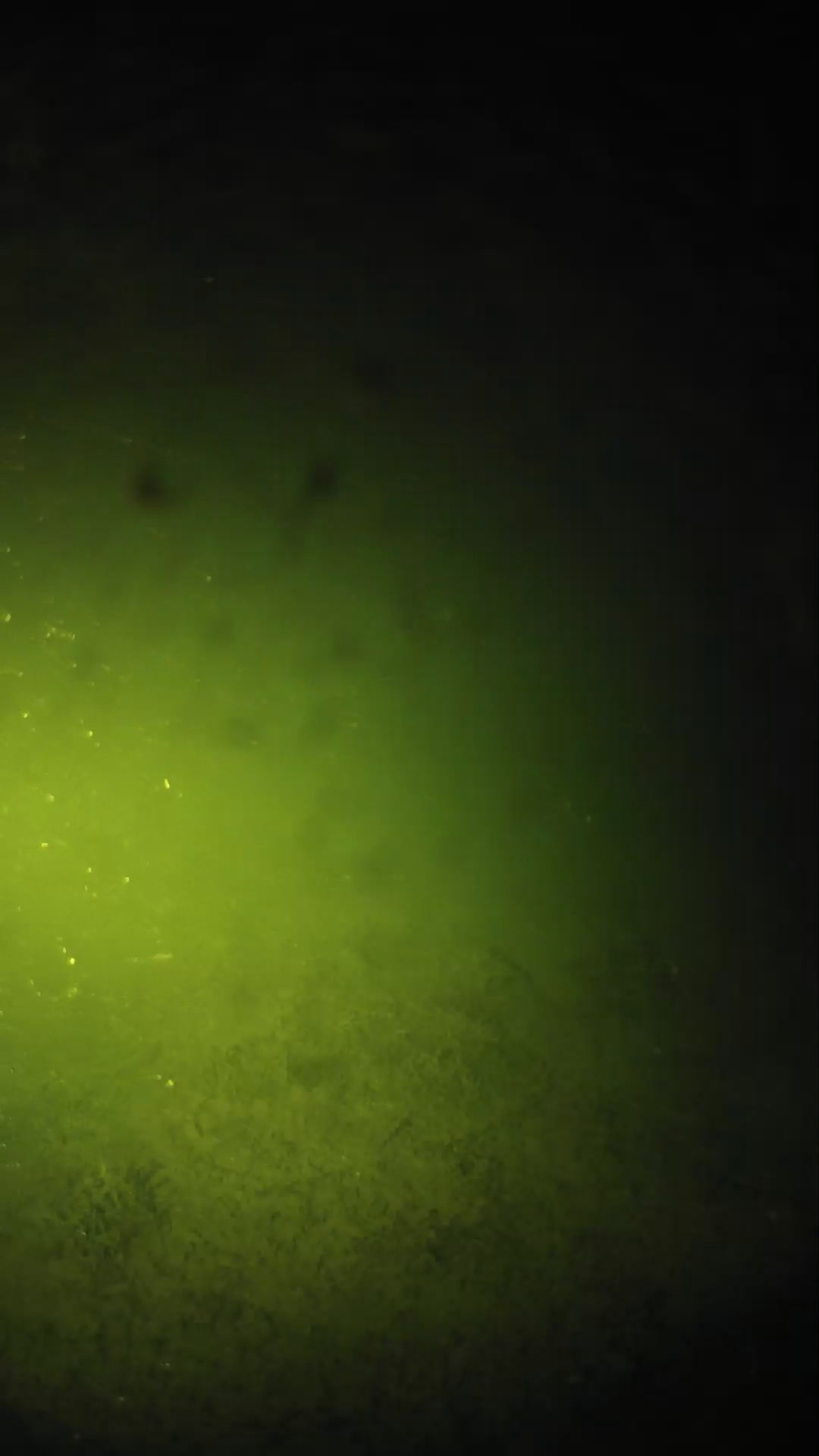 lander_ipcam_20240625213549.png