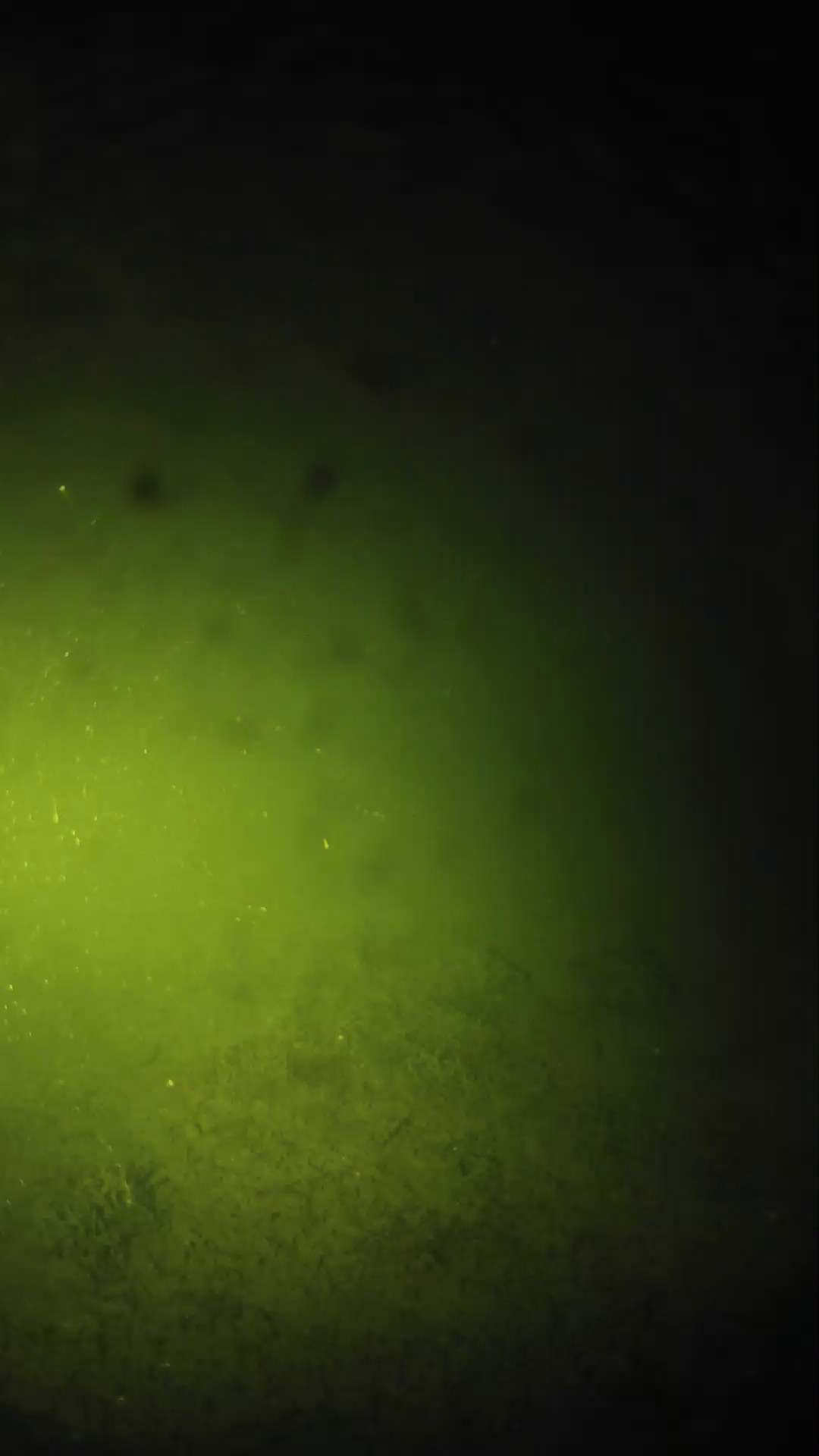 lander_ipcam_20240625213601.png