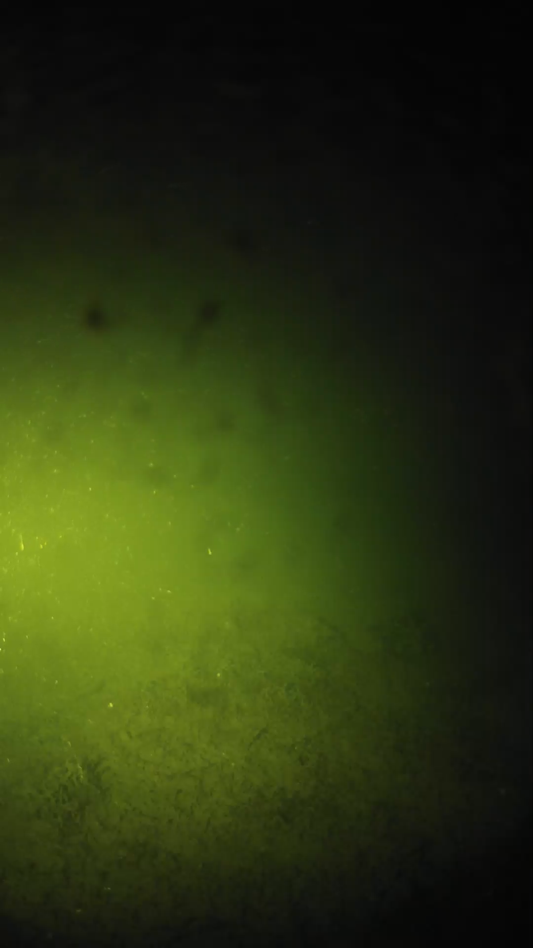 lander_ipcam_20240625213603.png