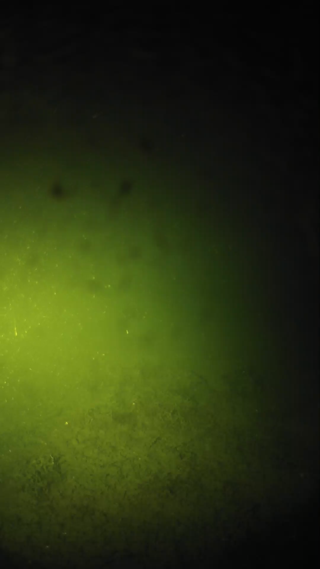 lander_ipcam_20240625213604.png