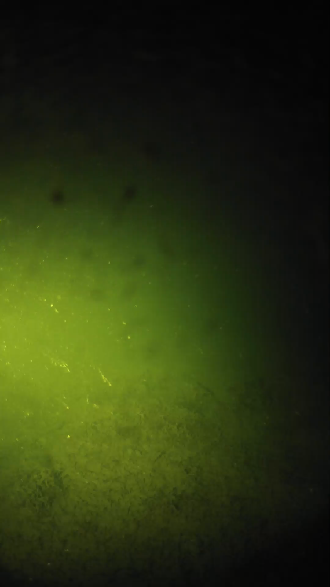 lander_ipcam_20240625220543.png