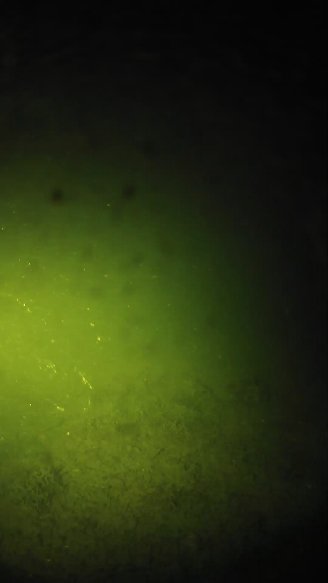 lander_ipcam_20240625220545.png