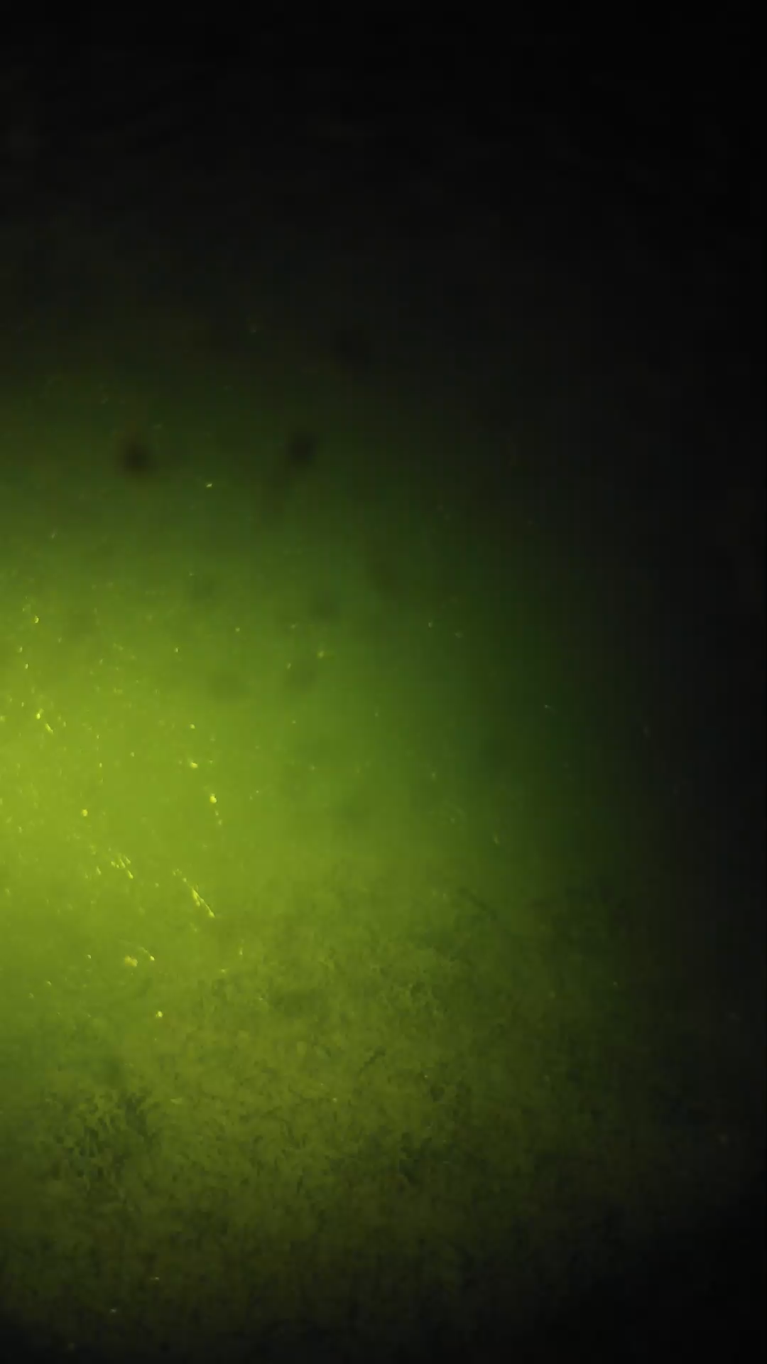 lander_ipcam_20240625220547.png