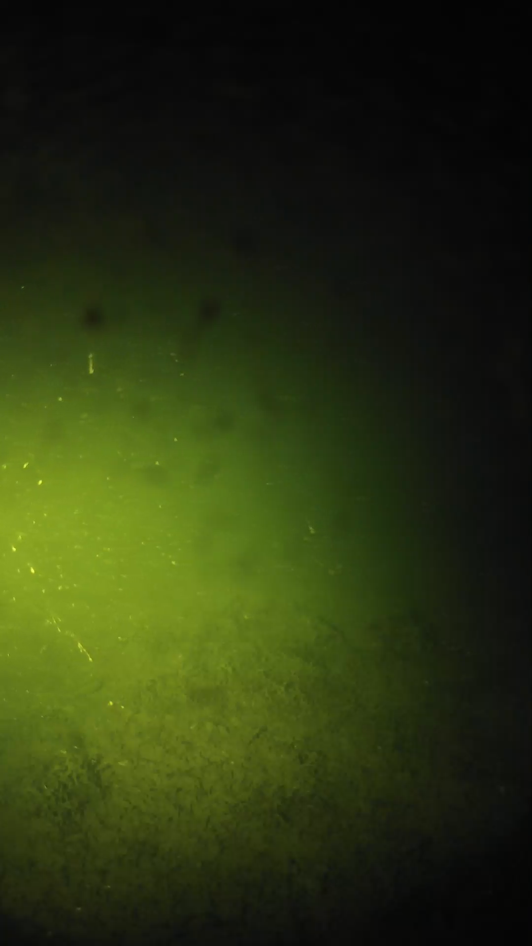 lander_ipcam_20240625220558.png
