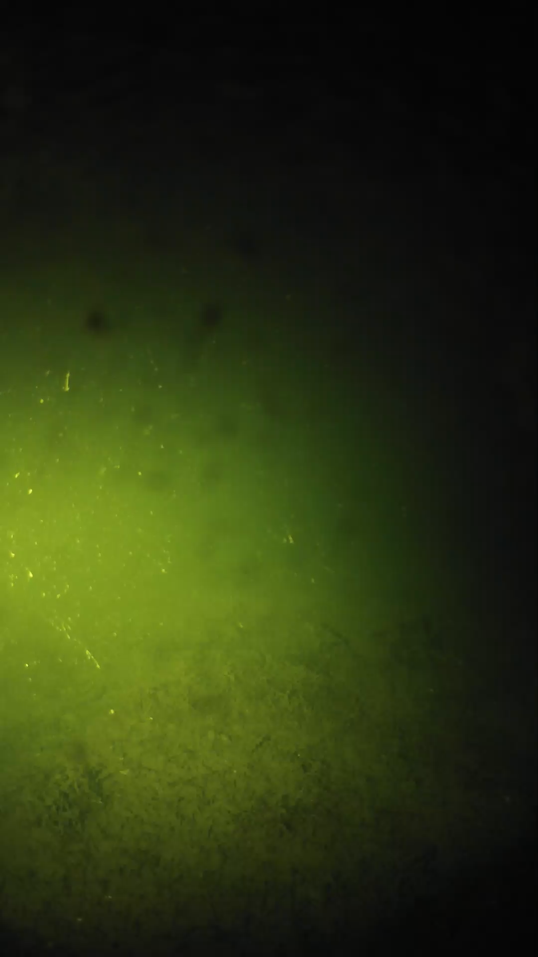 lander_ipcam_20240625220600.png
