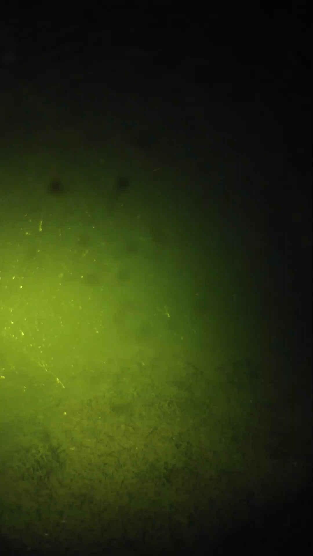 lander_ipcam_20240625220601.png