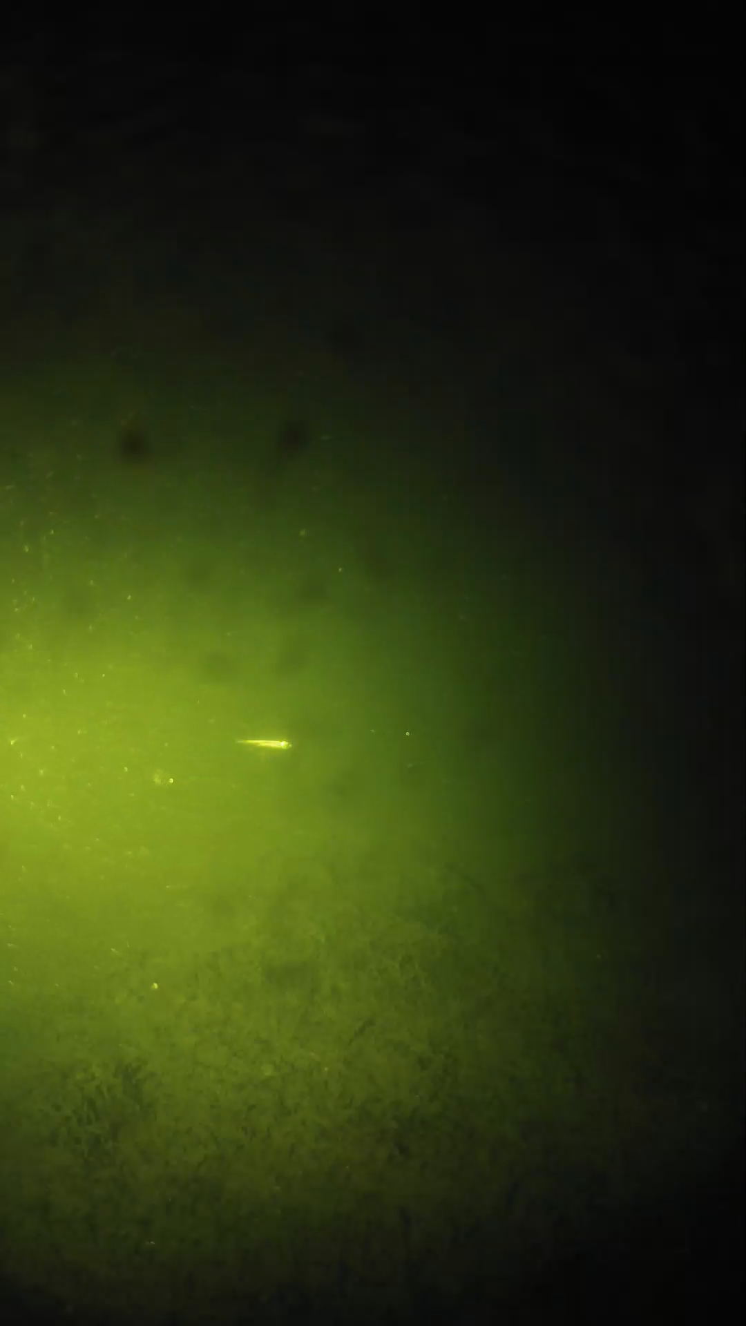 lander_ipcam_20240625223543.png