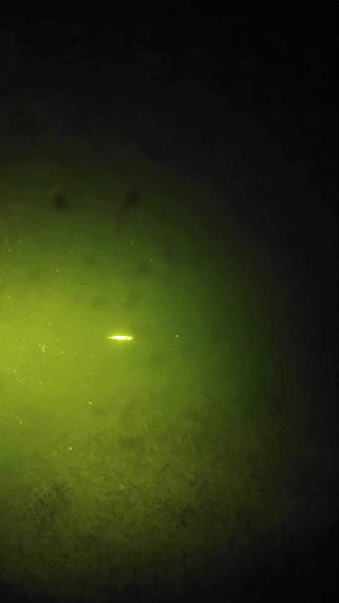 lander_ipcam_20240625223544.png