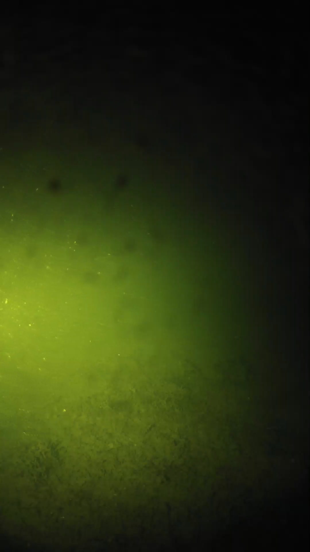 lander_ipcam_20240625223553.png