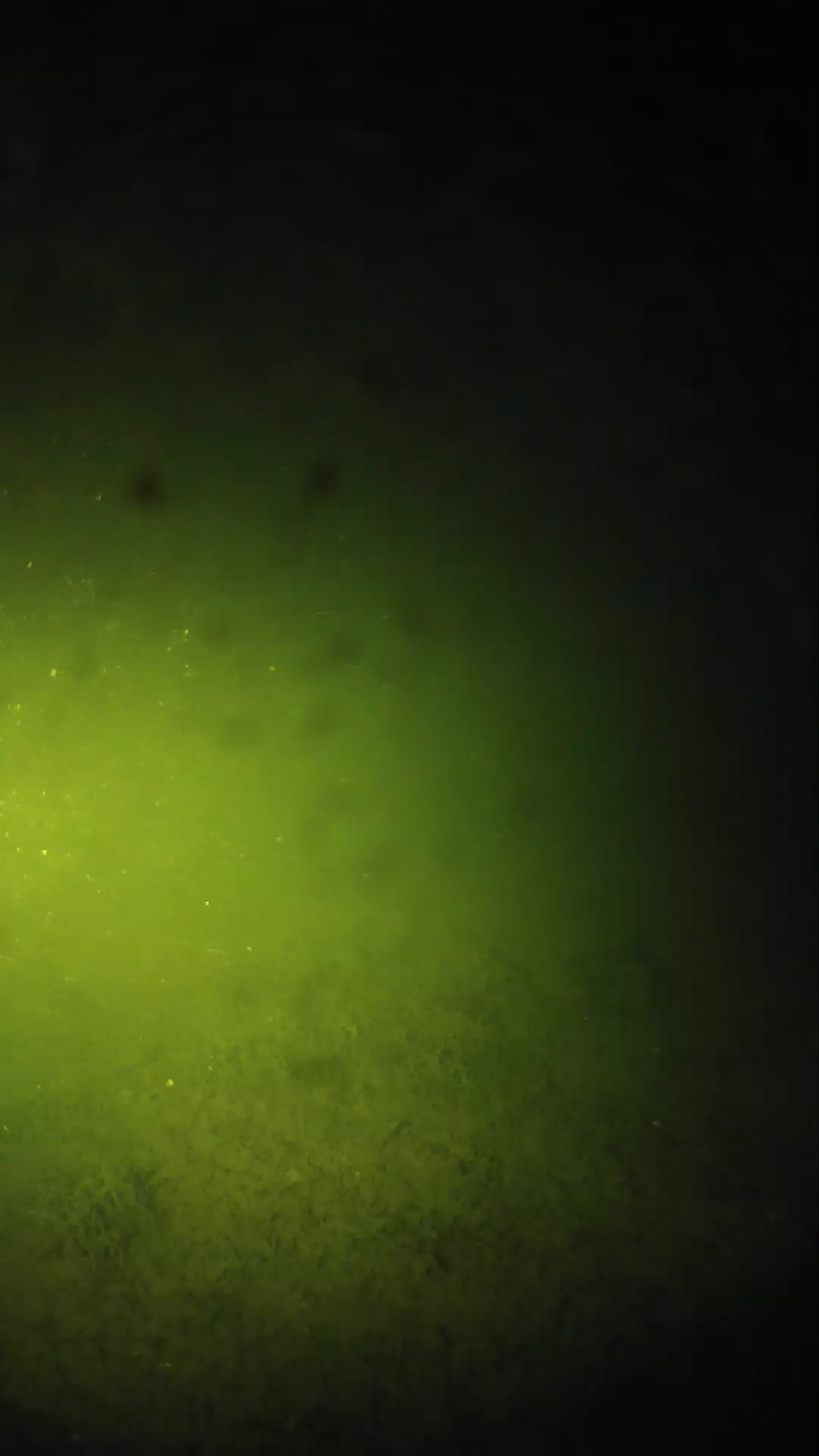 lander_ipcam_20240625223554.png