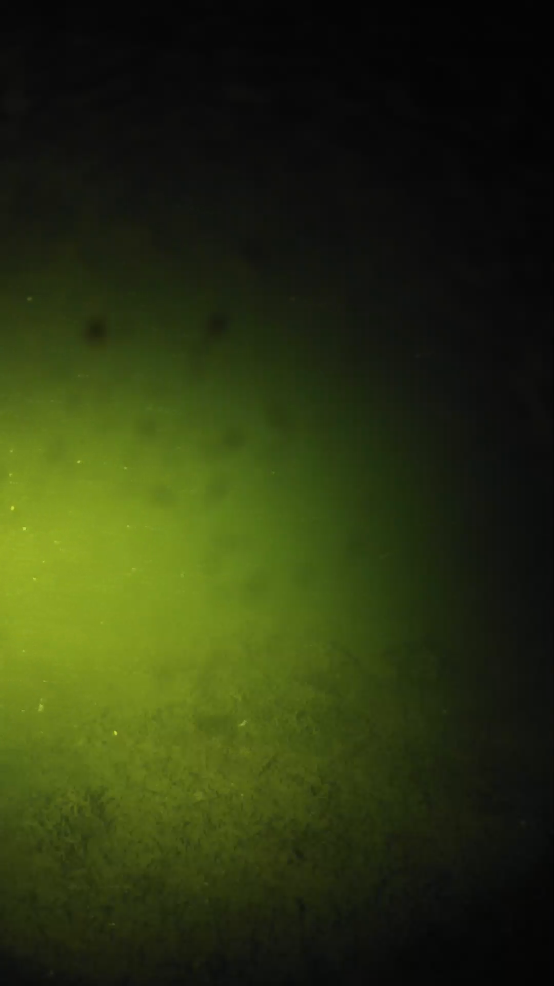 lander_ipcam_20240625223607.png