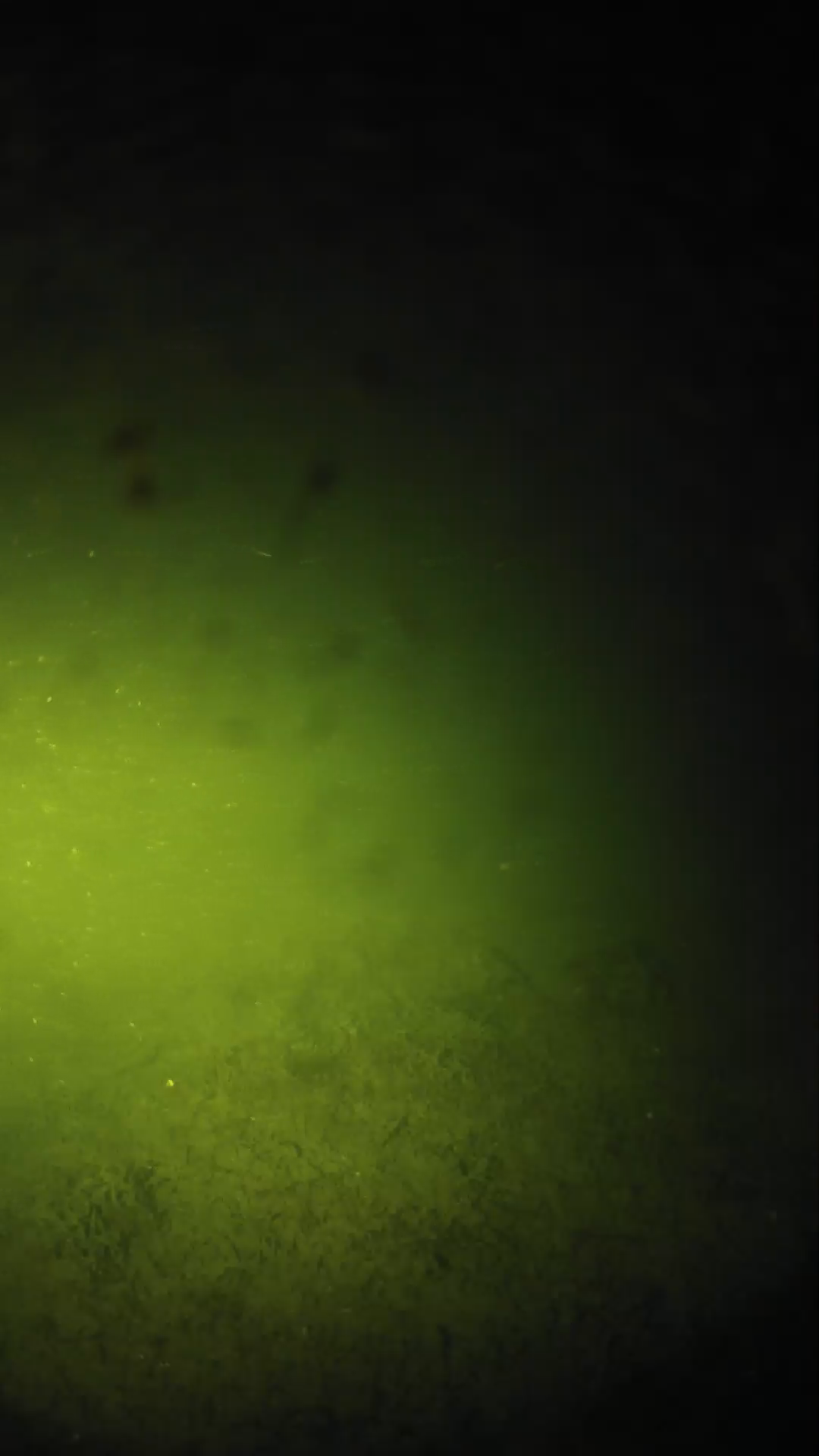 lander_ipcam_20240625230555.png
