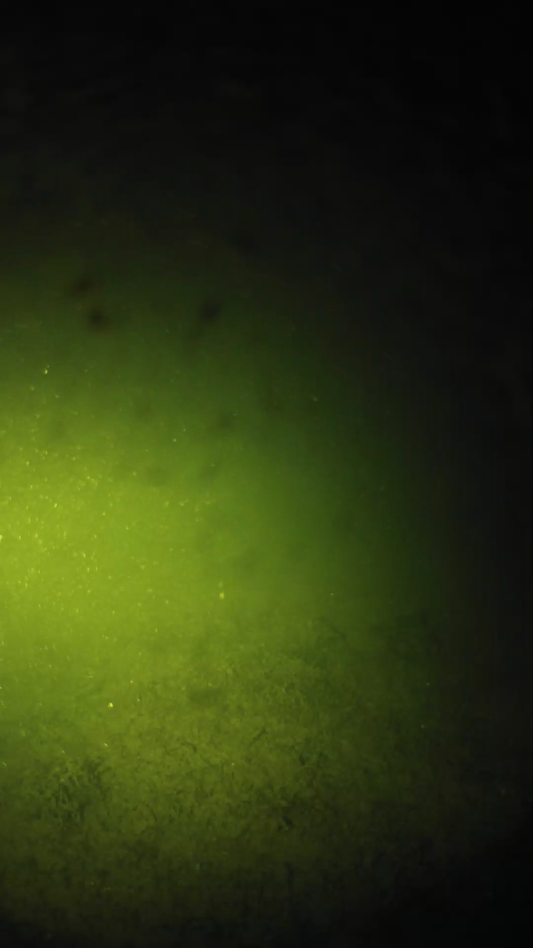 lander_ipcam_20240625230558.png