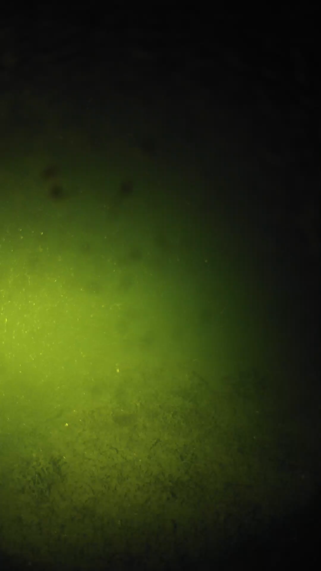 lander_ipcam_20240625230600.png