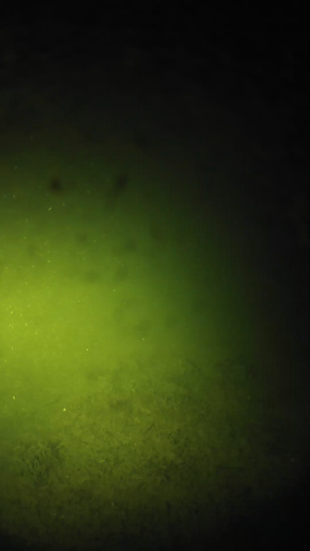 lander_ipcam_20240625233543.png