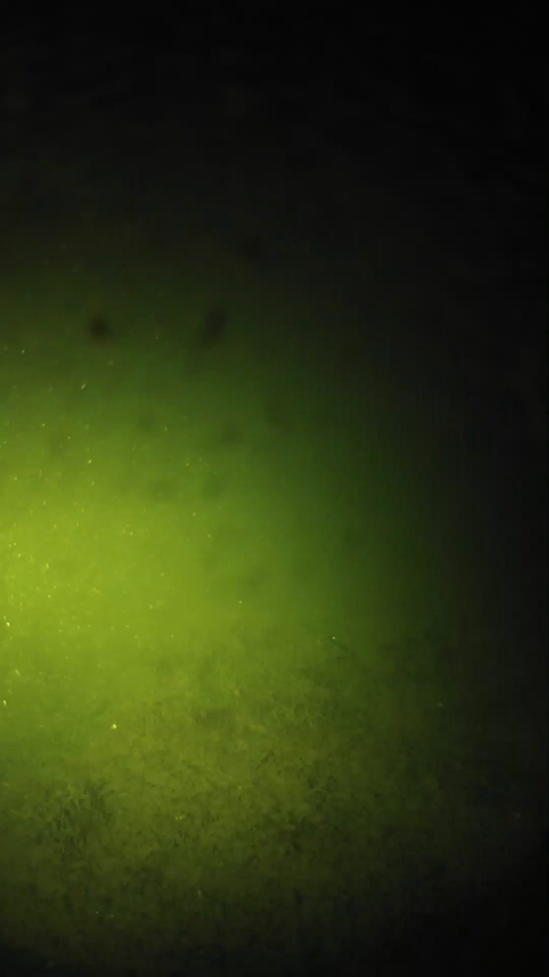 lander_ipcam_20240625233544.png