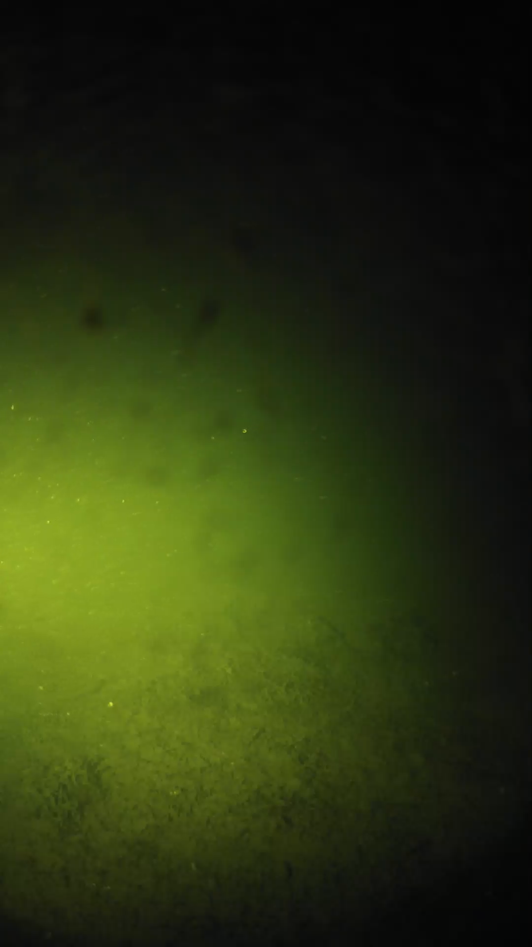 lander_ipcam_20240625233554.png