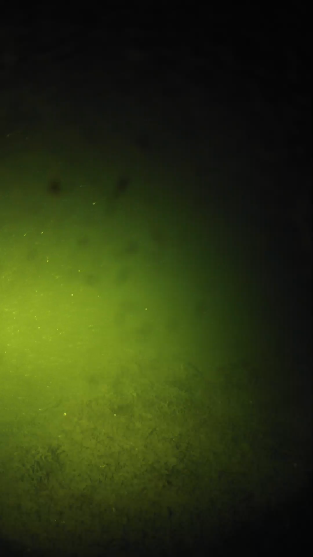lander_ipcam_20240625233601.png