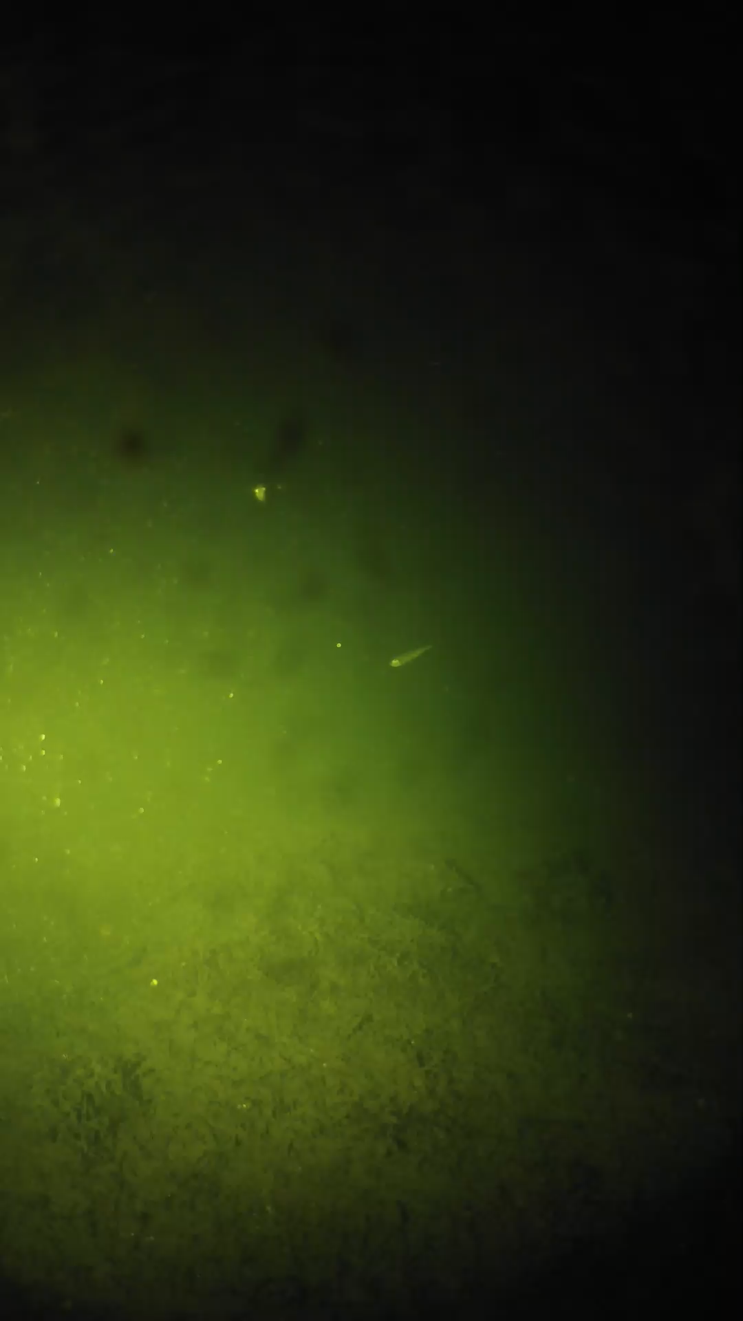 lander_ipcam_20240626000538.png