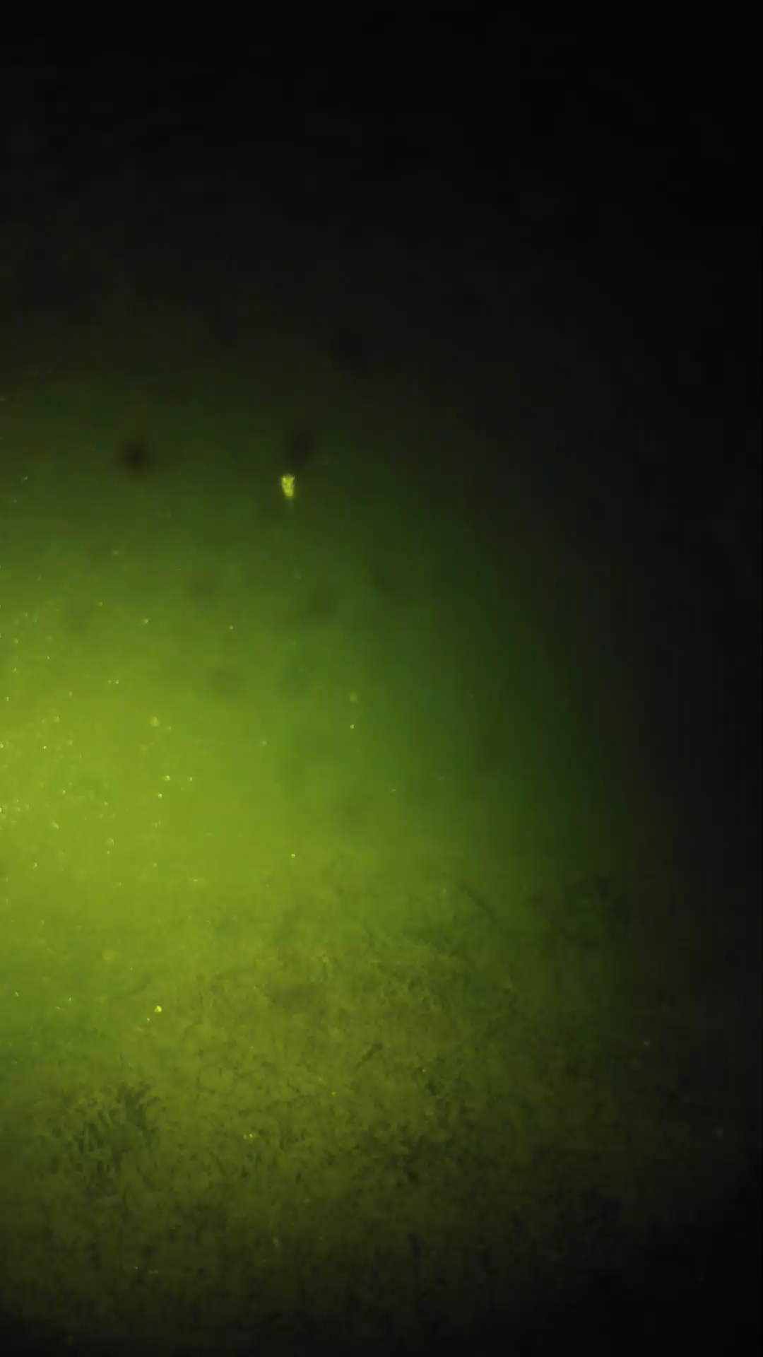 lander_ipcam_20240626000541.png