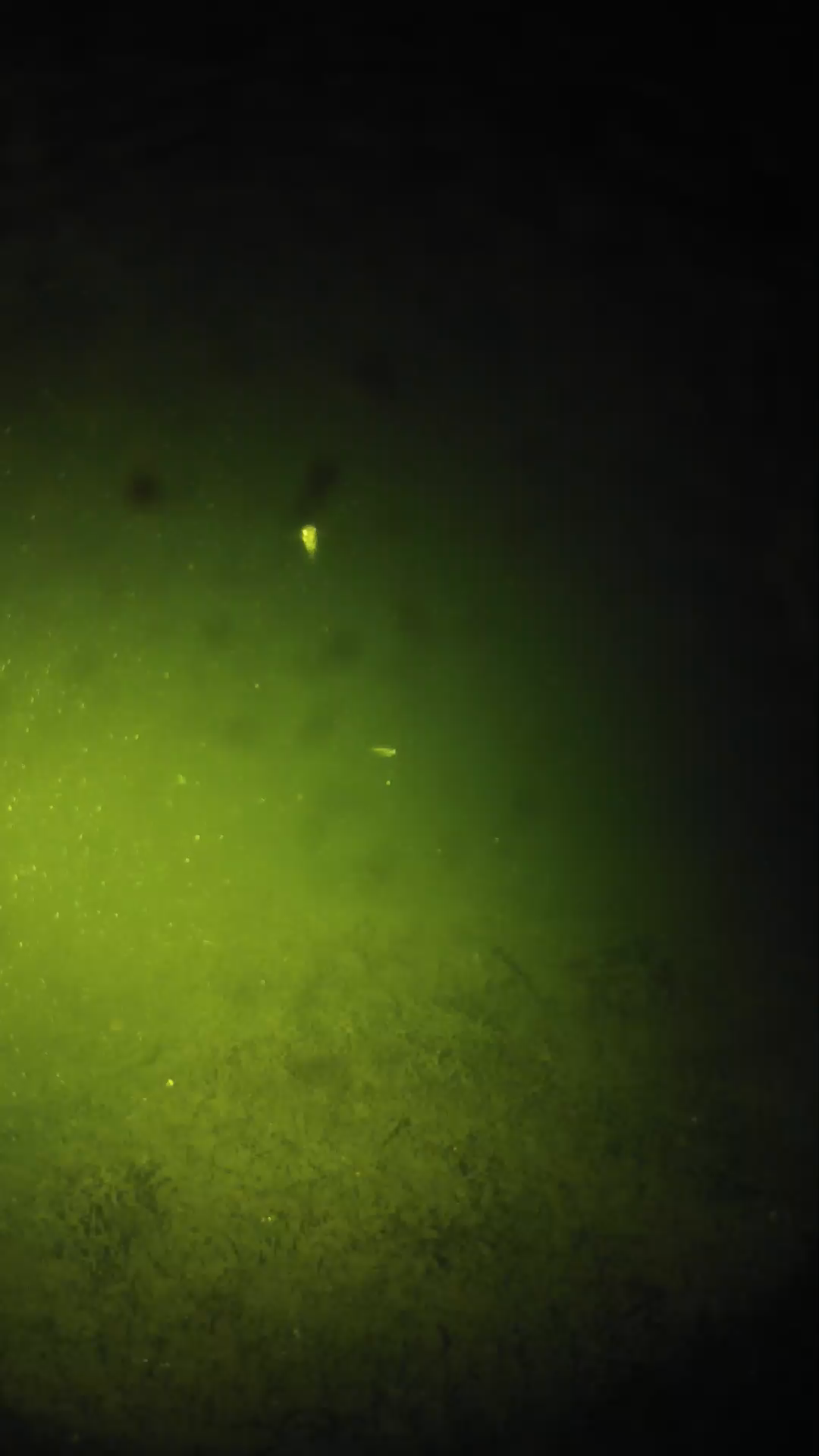 lander_ipcam_20240626000542.png