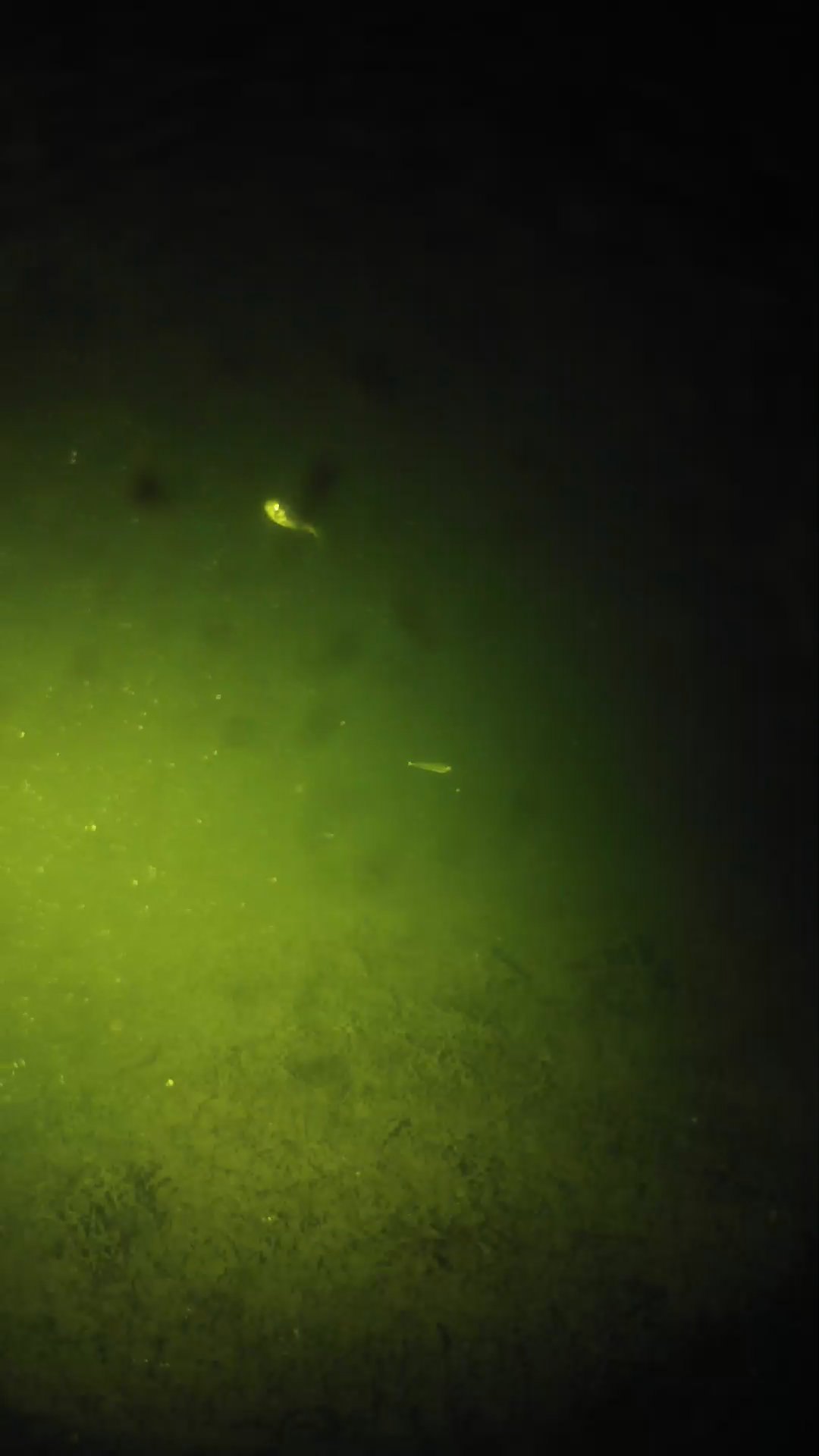 lander_ipcam_20240626000546.png