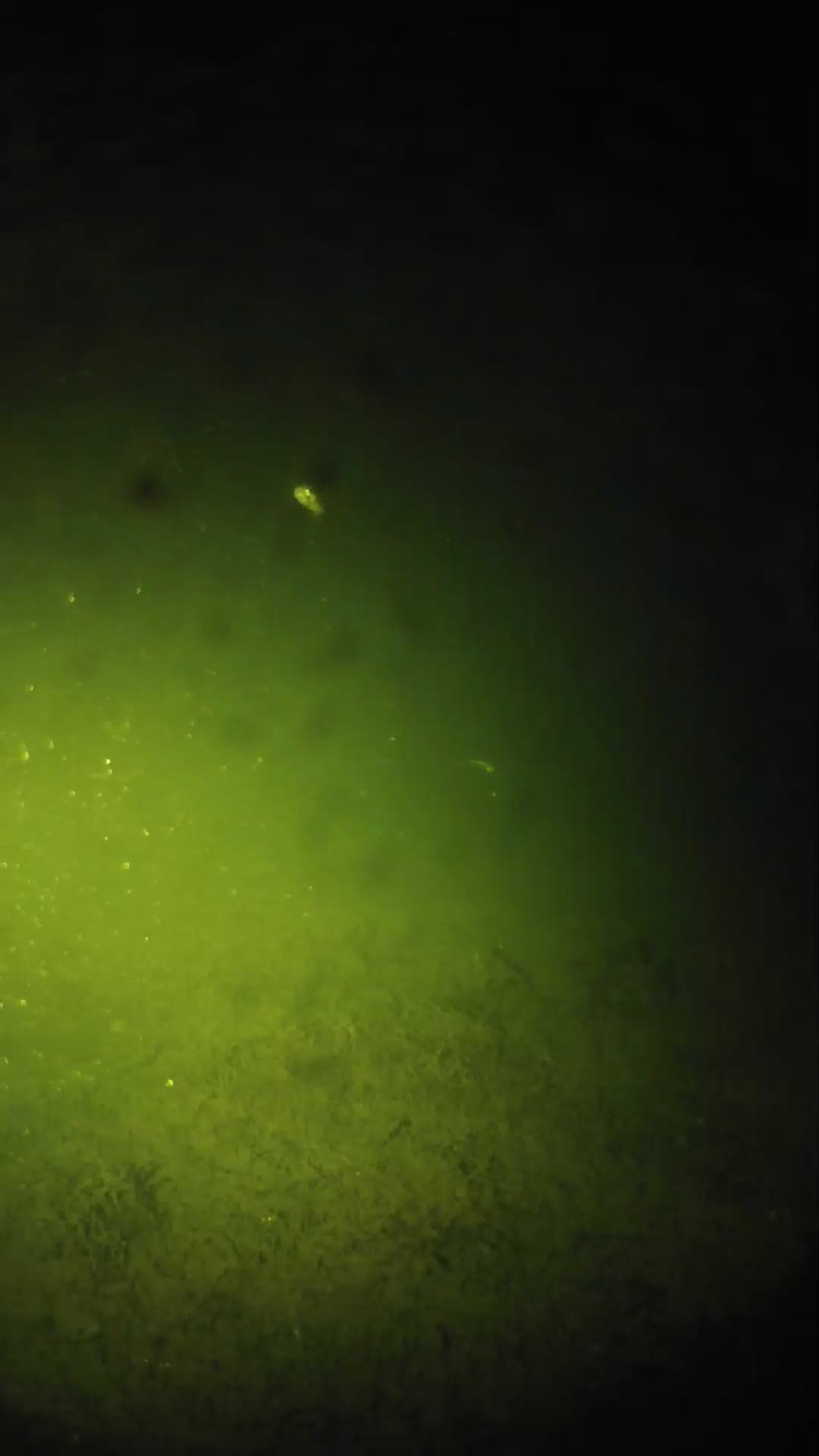 lander_ipcam_20240626000548.png